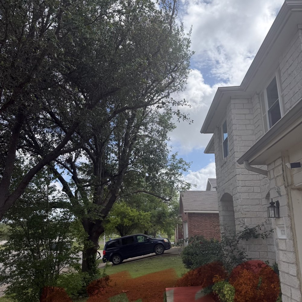 Mike's Tree Service - Trees away from the house and room after Daniel's master work. - Tree Services Near Me - Leander, Texas Mike's Tree Service - Trees away from the house and room after Daniel's master work. - Tree Services Near Me - Leander, Texas