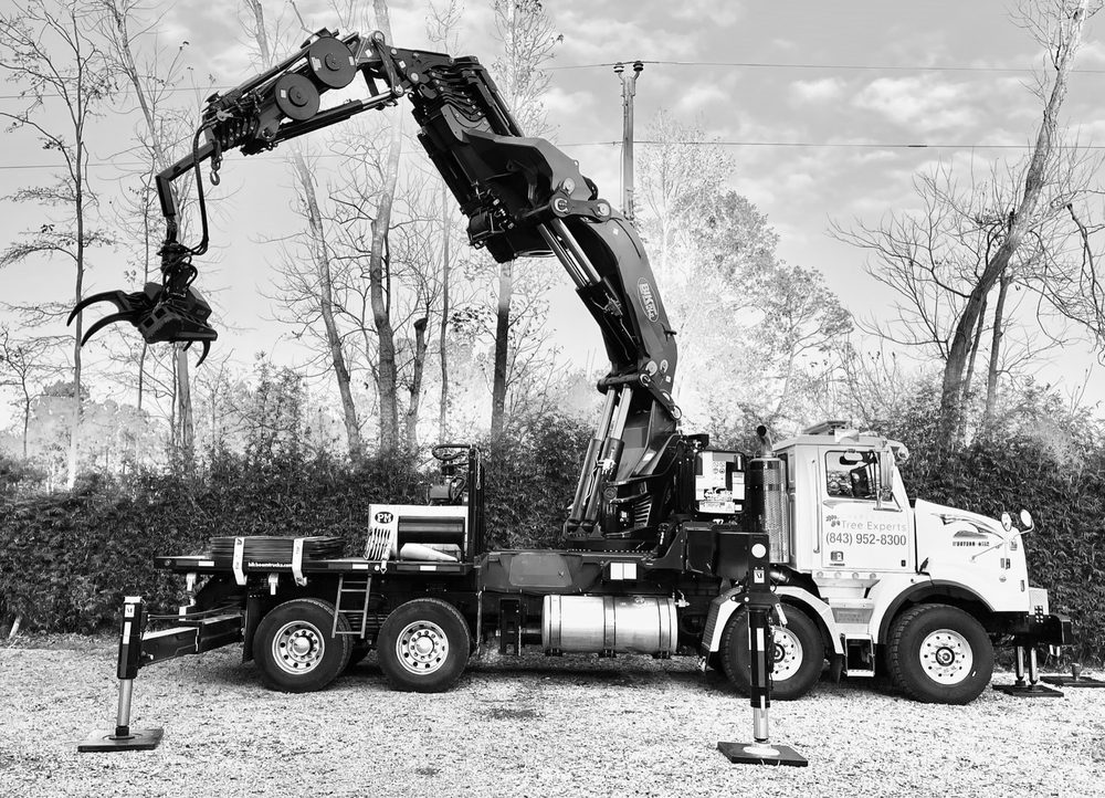 Charleston Tree Experts/SavATree - tree service in Johns Island, SC