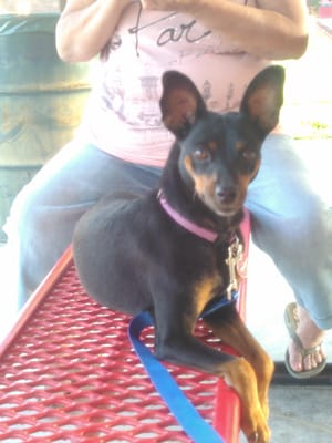 Harmony Park by null