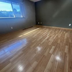 Maid For Seattle Cleaning Service