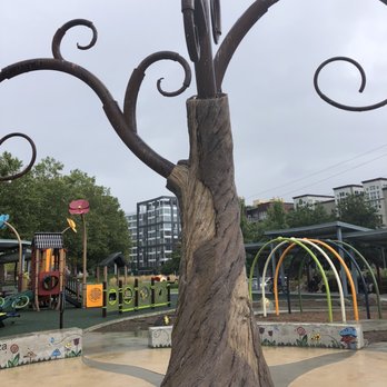 Bellevue Downtown Park - Tree - Parks Near Me - Bellevue, Washington Bellevue Downtown Park - Tree - Parks Near Me - Bellevue, Washington
