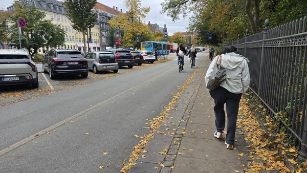 Ørstedsparken by null