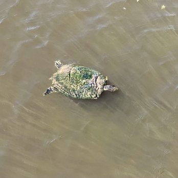 Kapok Park - Hi - Parks Near Me - Clearwater, Florida