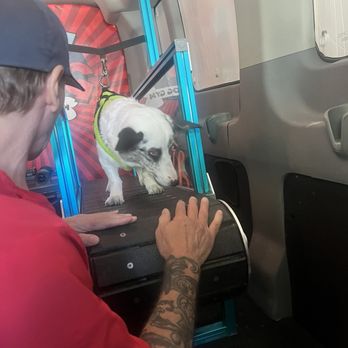 Run Dawg - Dog Walkers Near Me - Las Vegas, Nevada
