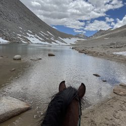 Rock Creek Pack Station - Top of mono pass w/ my new friend Kirby!