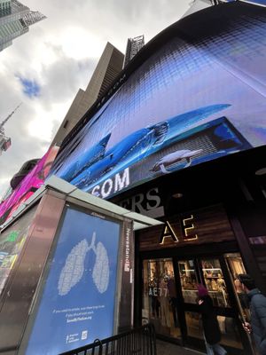 American Eagle by null