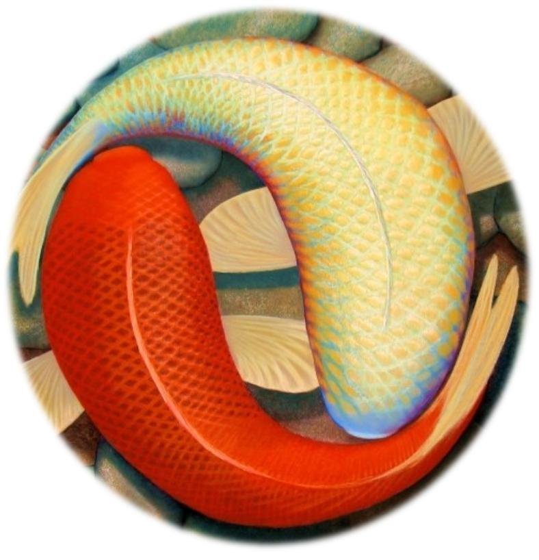 ATLANTIC ACUPUNCTURE Updated September 2024 1631 14th Avenue, Vero