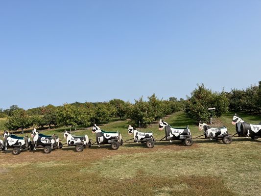 Apple Jack Orchards by null