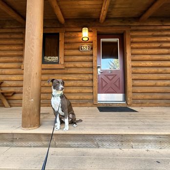 Cowboy Village Resort - My cute girl on the porch. - Resorts Near Me - Jackson, Wyoming