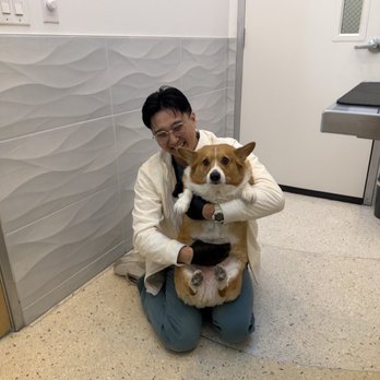 Orange Friendly Animal Hospital - Dr. Johnny and a potato - Veterinarians Near Me - Orange, California Orange Friendly Animal Hospital - Dr. Johnny and a potato - Veterinarians Near Me - Orange, California