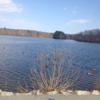 D W Field Park - Beautiful spot to feed the birds. Parking across the street. About 15-20 spaces. - Parks Near Me - Brockton, Massachusetts D W Field Park - Beautiful spot to feed the birds. Parking across the street. About 15-20 spaces. - Parks Near Me - Brockton, Massachusetts