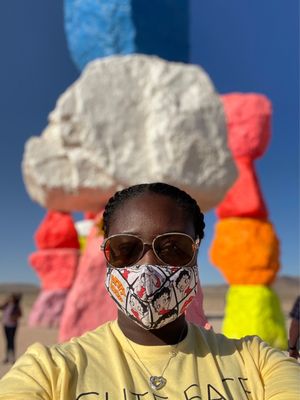 Seven Magic Mountains by null
