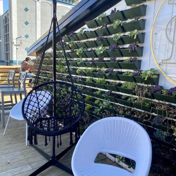 Harvest - Plant wall on the rooftop - American Near Me - Virginia Beach, Virginia