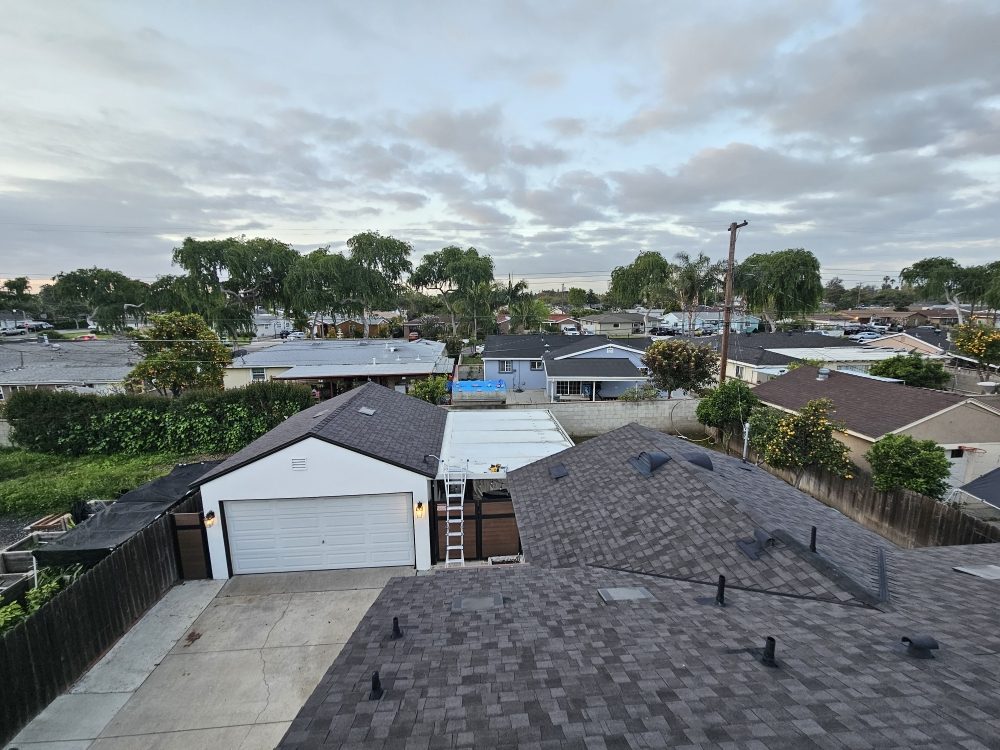 Slide of Immaculate Services