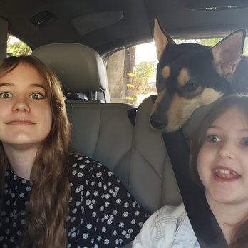 Positive-LA - Our three kids - Pet Training Near Me - Agoura Hills, California Positive-LA - Our three kids - Pet Training Near Me - Agoura Hills, California