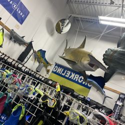 Scuba Quest Outlet