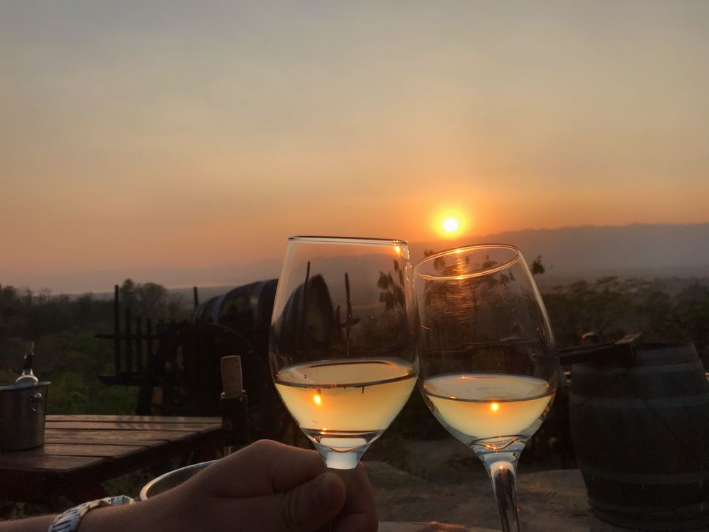 Saviar - vineyard in Denver, CO