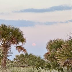 Smryna Dunes Park - Full moon
