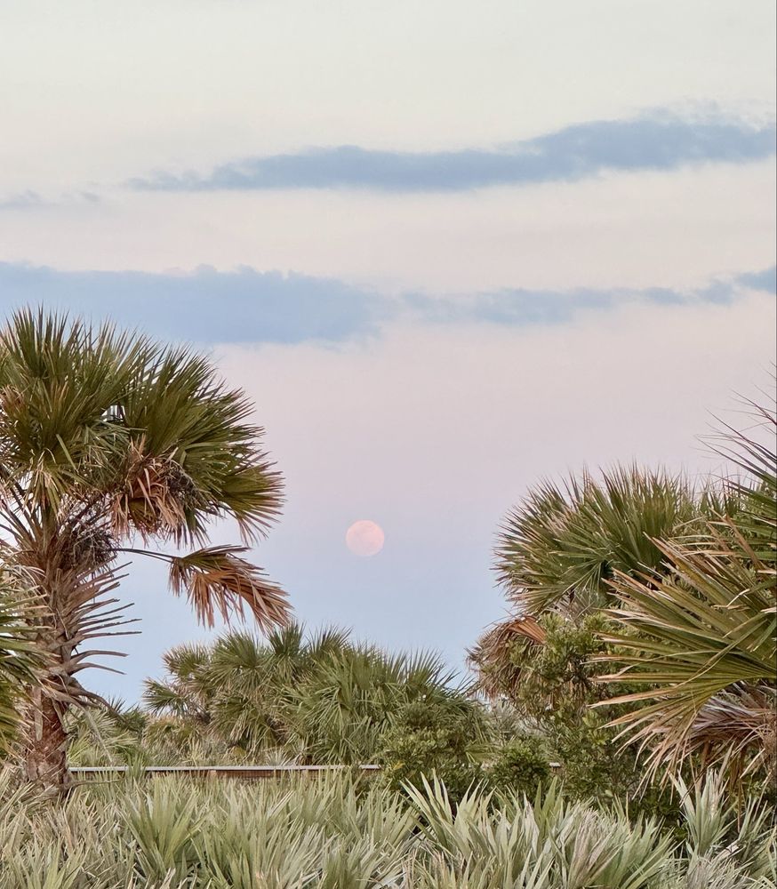Smryna Dunes Park Image