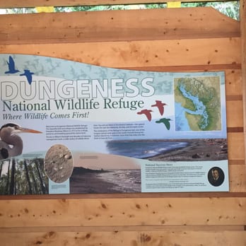 Dungeness National Wildlife Refuge - Parks Near Me - Sequim, Washington Dungeness National Wildlife Refuge - Parks Near Me - Sequim, Washington