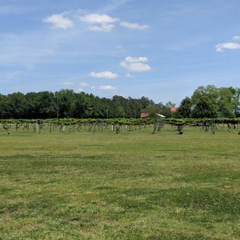 Carrollwoods RV Campground & Vineyard - RV Parks Near Me - Tabor City, North Carolina Carrollwoods RV Campground & Vineyard - RV Parks Near Me - Tabor City, North Carolina