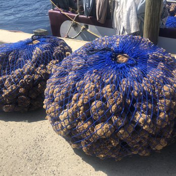 Sponge Docks - Gift Shops Near Me - Tarpon Springs, Florida