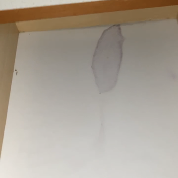 Avion Apartments  - Mystery sticky stain in the kitchen cabinet :))) - Apartments Near Me - Rancho Cordova, California
