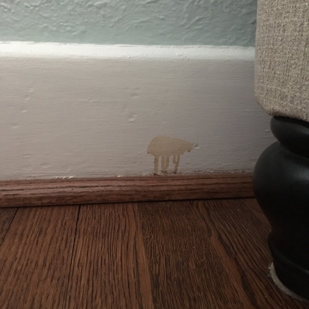 Many spots like this around my trim
