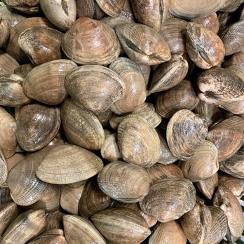 Da Seafood Store - Manila Clams available in 3 & 5 pound bags. Can hand pick your own as well. - Seafood Markets Near Me - Honolulu, Hawaii