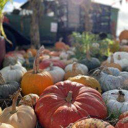 Andreotti Family Farms