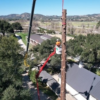 Greene Tree Care - Spider lift and crane equipment for this job!!! - Tree Services Near Me - Camarillo, California Greene Tree Care - Spider lift and crane equipment for this job!!! - Tree Services Near Me - Camarillo, California