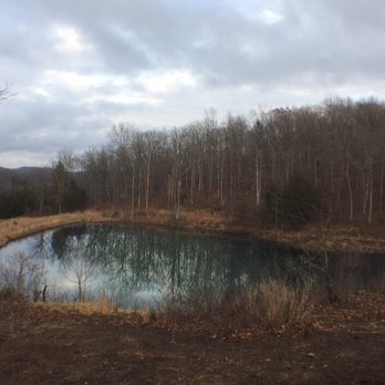 Johnson's Shut-Ins State Park - The pond next to the cabins. - Parks Near Me - Lesterville, Missouri