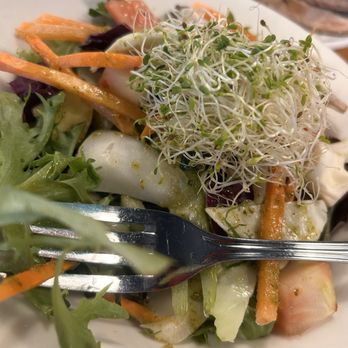 The Cafe - Sandwiches Near Me - Key West, Florida The Cafe - Sandwiches Near Me - Key West, Florida