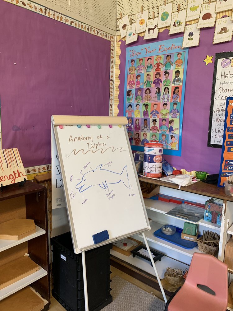 The Model School Comprehensive - childcare center in Berkeley, CA