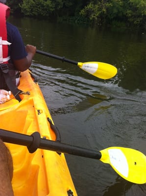 Bayou City Adventures by null