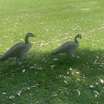 Fairmount Park - Parks Near Me - Riverside, California