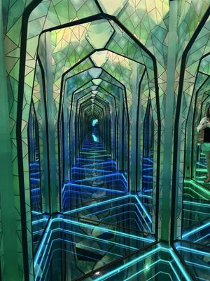 Ripley’s Mirror Maze by null