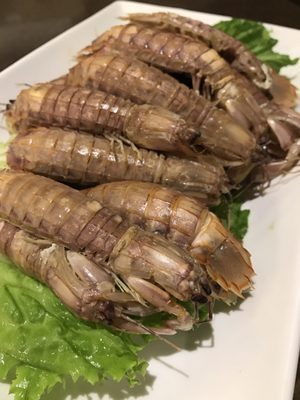 Captain's Catch by null