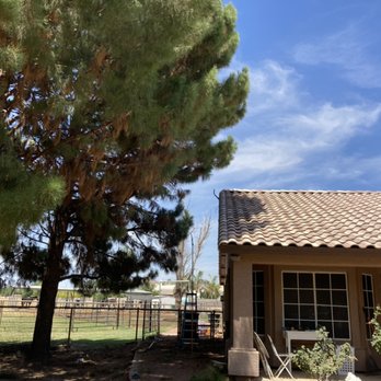 JC’s Tree Removal & Stump Grinding - After - Landscaping Near Me JC’s Tree Removal & Stump Grinding - After - Landscaping Near Me