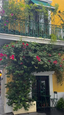 Café Botánico by null