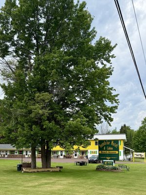 Sunshine Motel and Cabins by null