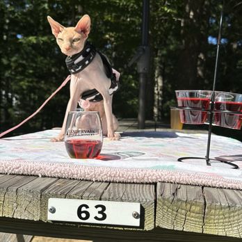 Vandervalk Farm & Winery - Pet friendly - Christmas Trees Near Me - Mendon, Massachusetts