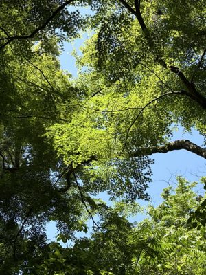 Rikugien Gardens by null