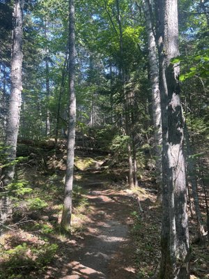 Wolfe's Neck Woods State Park by null