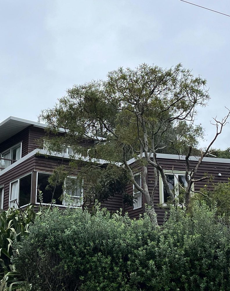 Slide of South Tampa Roofing