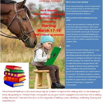 Duck ‘N Stables - Horse Boarding Near Me - San Benito, Texas Duck ‘N Stables - Horse Boarding Near Me - San Benito, Texas