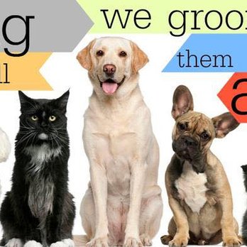 Top Knot Grooming - Pet Groomers Near Me - Sudbury, Ontario Top Knot Grooming - Pet Groomers Near Me - Sudbury, Ontario