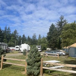 Tillamook Bay City RV Park - A view of the RV Park from the dog area.