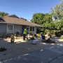 Photo of Drip Drought Tolerant Solutions