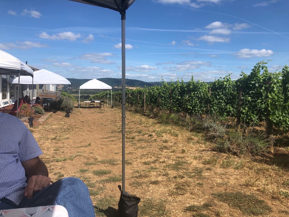 PATTON VALLEY VINEYARD Updated May 2024 14 Photos & 12 Reviews